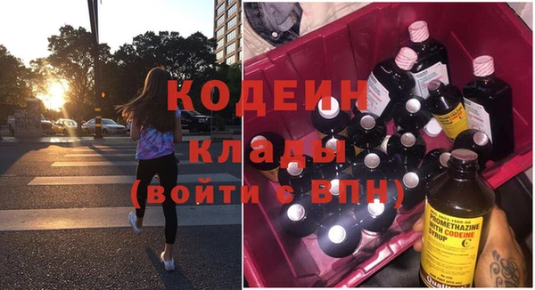 крисы Кодинск